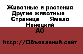 Животные и растения Другие животные - Страница 2 . Ямало-Ненецкий АО